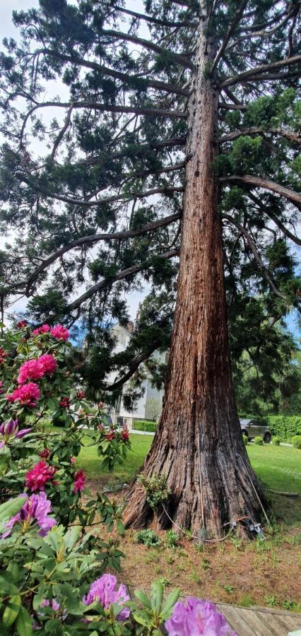 Residence Mont-Blanc Geneva Bagian luar foto